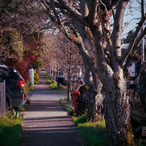Suburban sidewalk path alongside homes